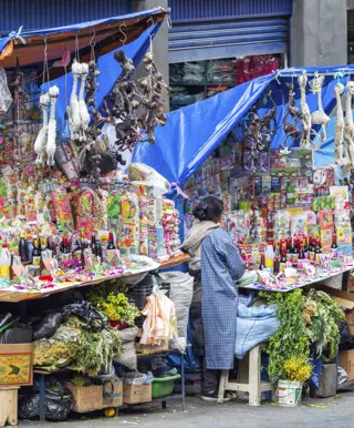 Besuche den Hexenmarkt